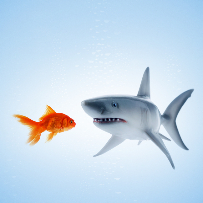 Homeless Encampments Linked to LA's Typhus Surge: Prevention Tips